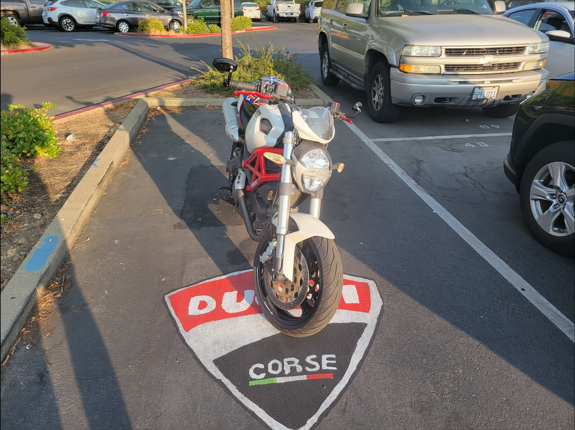 Cars and Motorcycles
